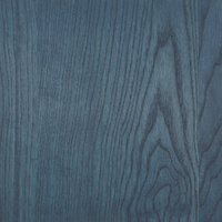 Rubio Monocoat Oil Plus 2C 130ml Midnight Sky