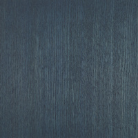 Rubio Monocoat Oil Plus 2C 130ml Midnight Sky